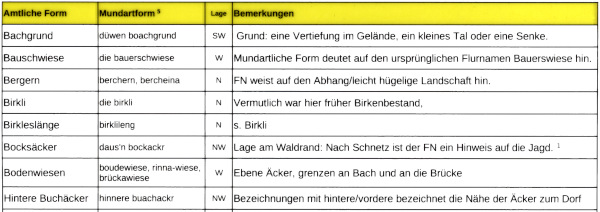 Ausschnitt der Rückseite