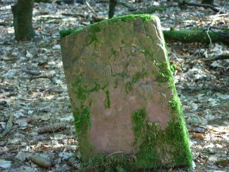 Nahaufnahme des Grenzsteins von Steinfelder Seite aus